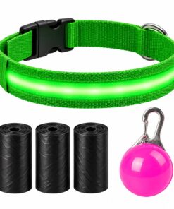 Professor Q Nylon LED-halsband voor honden – met lampje roze – M – 45 poepzakjes – 37–46 cm – groen/roze