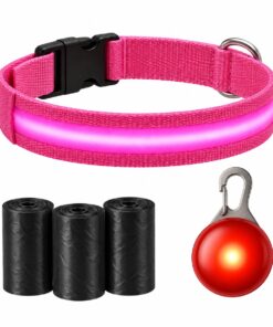 Professor Q Nylon LED-halsband voor honden – met lampje rood – S – 45 poepzakjes – 34–41 cm – roze/rood