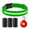Professor Q Nylon LED-halsband voor honden – met lampje rood – M – 45 poepzakjes – 37–46 cm – groen/rood