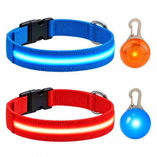 Professor Q Nylon LED-halsband voor honden – met hondenlampje – XS – 28–32 cm – blauw/rood