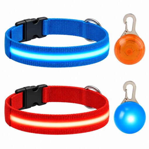 Professor Q Nylon LED-halsband voor honden – met hondenlampje – M – 37–46 cm – blauw/rood