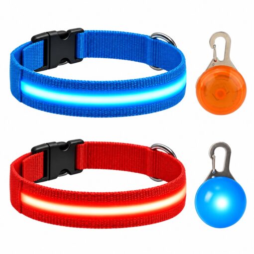 Professor Q Nylon LED-halsband voor honden – met hondenlampje – L – 41–52 cm – blauw/rood