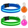 Professor Q Nylon LED-halsband voor honden – met hondenlampje – XS – 28–32 cm – blauw/groen