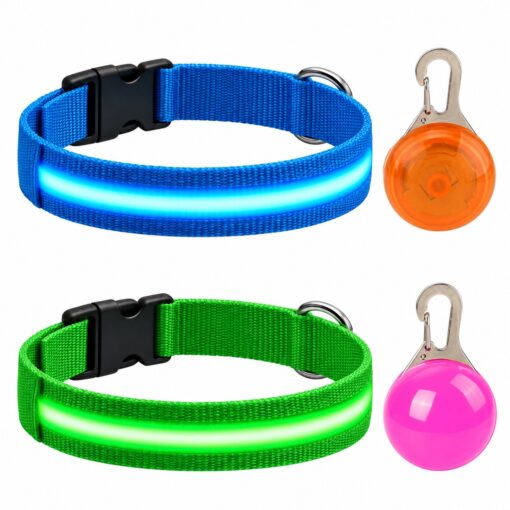 Professor Q Nylon LED-halsband voor honden – met hondenlampje – XS – 28–32 cm – blauw/groen