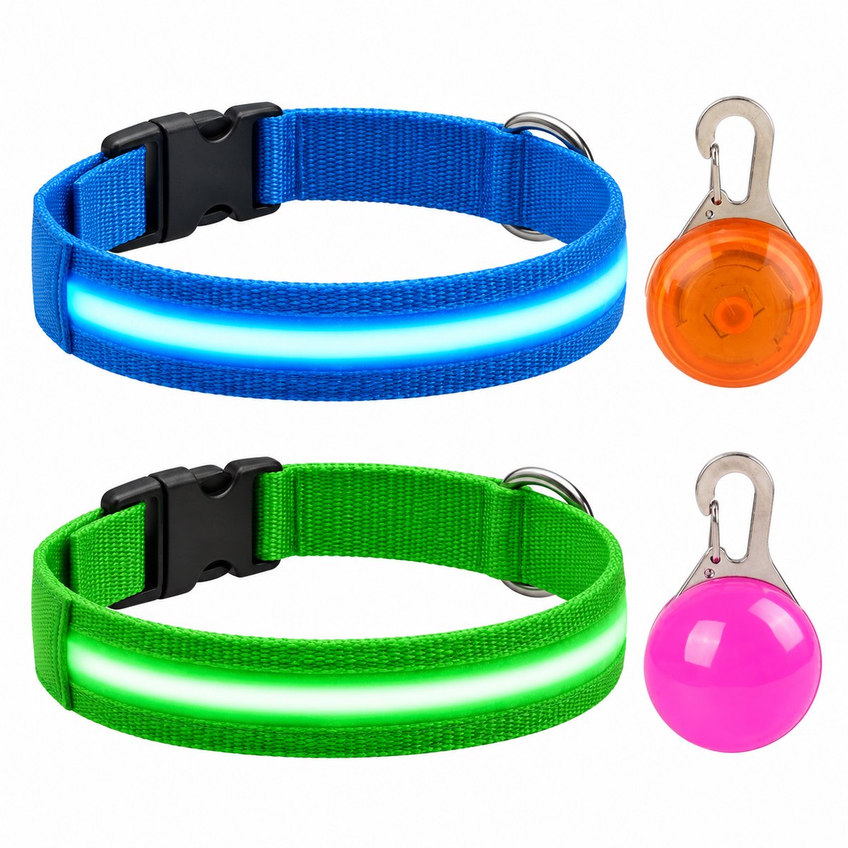 Professor Q Nylon LED-halsband voor honden – met hondenlampje – S – 34–41 cm – blauw/groen