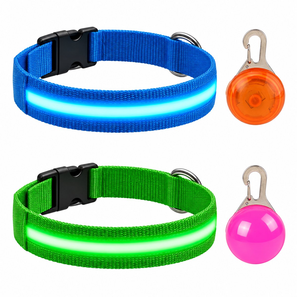 Professor Q Nylon LED-halsband voor honden – met hondenlampje – M – 37–46 cm – blauw/groen