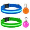 Professor Q Nylon LED-halsband voor honden – met hondenlampje – L – 41–52 cm – blauw/groen