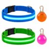 Professor Q Nylon LED-halsband voor honden – met hondenlampje – XL – 42–56 cm – blauw/groen