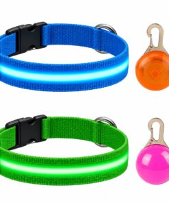 Professor Q Nylon LED-halsband voor honden – met hondenlampje – XL – 42–56 cm – blauw/groen