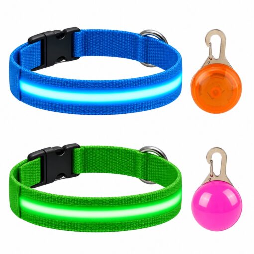 Professor Q Nylon LED-halsband voor honden – met hondenlampje – XL – 42–56 cm – blauw/groen