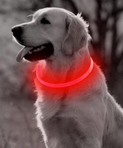 Professor Q LED-halsband voor honden – 20-70 cm – rood