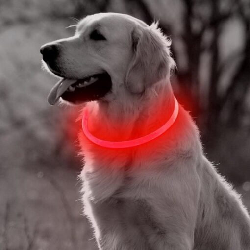 Professor Q LED-halsband voor honden – 20-70 cm – rood