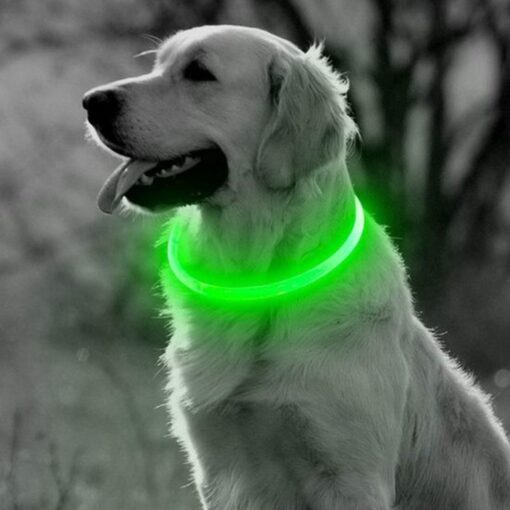 Groene Professor Q LED-halsband voor honden