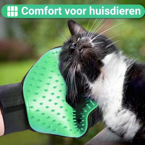 Professor Q Vachthandschoen – groen