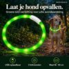 Professor Q LED-halsband voor honden – M – groen