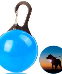 Professor Q LED-halsband voor honden – met lampjes voor – rood/blauw