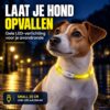 Professor Q LED-halsband voor honden – 35 cm – geel