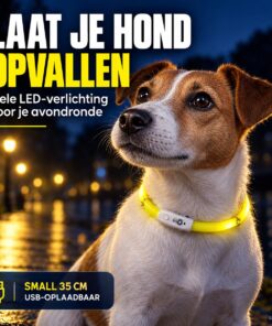 Professor Q LED-halsband voor honden – 35 cm – geel