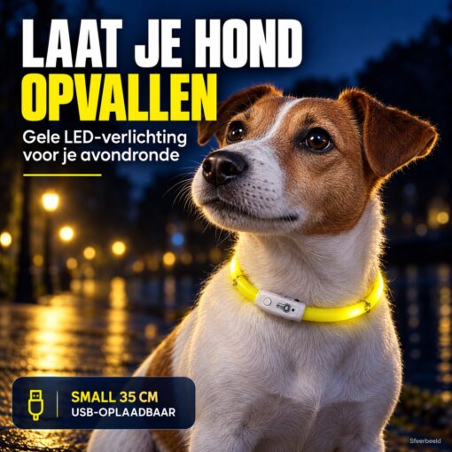 Professor Q LED-halsband voor honden – 35 cm – geel