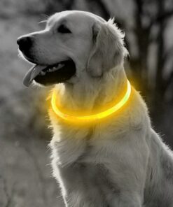 Professor Q LED-halsband voor honden – XL – 70 cm – geel