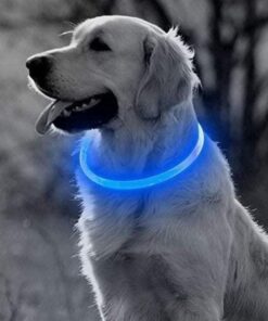 Professor Q LED-halsband voor honden – 70 cm – blauw
