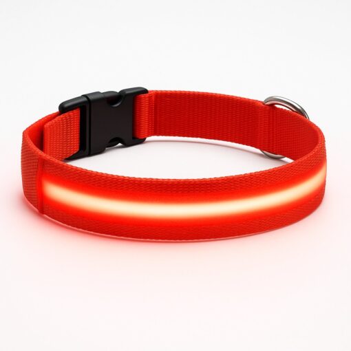 Professor Q Nylon LED-halsband voor honden – S – 34–41 cm – rood
