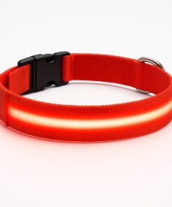 Professor Q Nylon LED-halsband voor honden – XS – 28–32 cm – rood