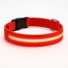 Professor Q Nylon LED-halsband voor honden – L – 41–52 cm – rood