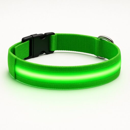 Professor Q Nylon LED-halsband voor honden – S – 34–41 cm – groen