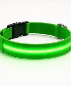 Professor Q Nylon LED-halsband voor honden – L – 41–52 cm – groen
