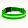 Professor Q Nylon LED-halsband voor honden – XL – 42–56 cm – groen