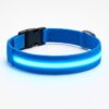Professor Q Nylon LED-halsband voor honden – XS – 28–32 cm – blauw