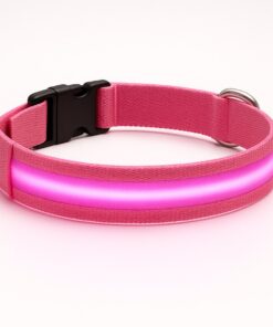 Professor Q Nylon LED-halsband voor honden – XS – 28 cm – roze
