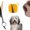 Professor Q Contourschaar voor honden – met brons etui – zwart/goud