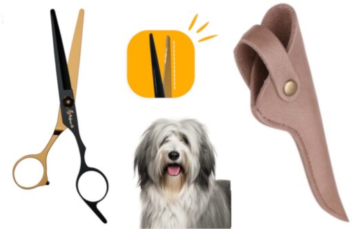 Professor Q Contourschaar voor honden – met brons etui – zwart/goud