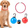 Professor Q LED-halsband voor honden – met lampjes voor – rood/blauw