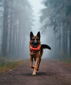 Professor Q LED-halsband voor honden – 20-70 cm – rood - detailfoto 3