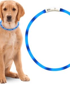 Professor Q LED-halsband voor honden – 20-70 cm – blauw - detailfoto 3