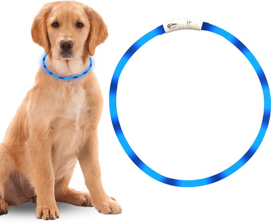 Professor Q LED-halsband voor honden – 20-70 cm – blauw - detailfoto 3