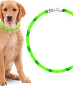 Professor Q LED-halsband voor honden – 10-35 cm – groen - detailfoto 3