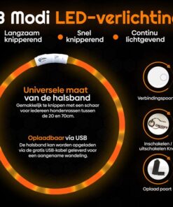Professor Q Nylon LED-halsband voor honden – 35 cm – oranje - detailfoto 3