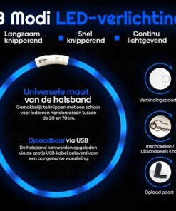Professor Q LED-halsband voor honden – met lampje blauw – S – blauw - detailfoto 3