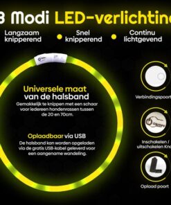 Professor Q LED-halsband voor honden – 20-70 cm – geel - detailfoto 2