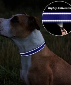 Professor Q Reflecterende hondenhalsband – S – 30–40 cm – donkerblauw - detailfoto 2