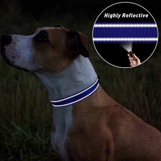 Professor Q Reflecterende hondenhalsband – S – 30–40 cm – donkerblauw - detailfoto 2