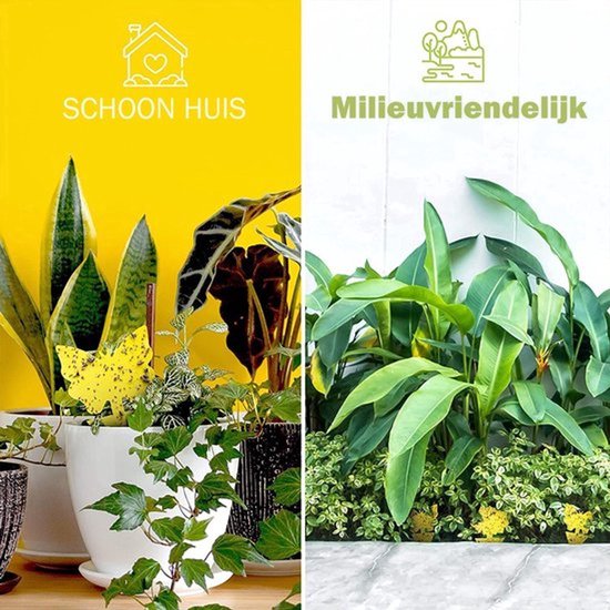 Professor Q Gele vangplaten voor planten – geel – 11 stuks - detailfoto 3
