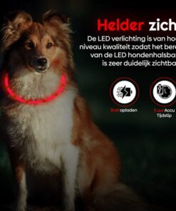 Professor Q LED-halsband voor honden – met lampjes voor – rood/blauw - detailfoto 3