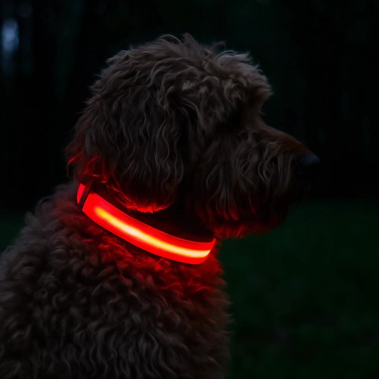 Professor Q Nylon LED-halsband voor honden – XS – 28–32 cm – rood - detailfoto 2