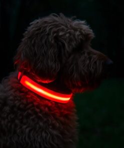Professor Q Nylon LED-halsband voor honden – XL – 42–56 cm – rood - detailfoto 2