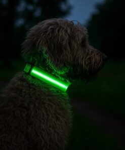 Professor Q Nylon LED-halsband voor honden – S – 34–41 cm – groen - detailfoto 3